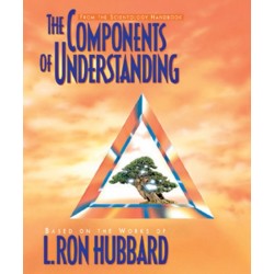 The Components of Understanding