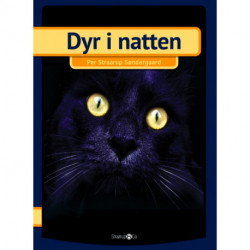 Dyr i natten