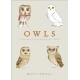 Owls: Our Most Enchanting Bird