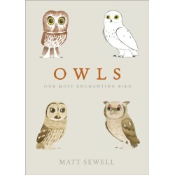Owls: Our Most Enchanting Bird