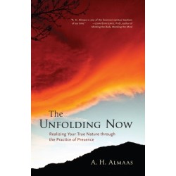 The Unfolding Now: Realizing Your True Nature through the Practice of Presence