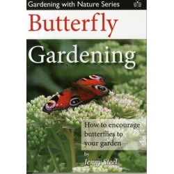 Butterfly Gardening: How to Encourage Butterflies to Your Garden