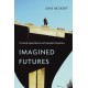 Imagined Futures: Fictional Expectations and Capitalist Dynamics