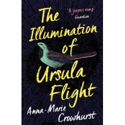 The Illumination of Ursula Flight