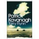 Tarry Flynn