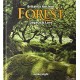 Britain's Ancient Forest: Legacy and lore