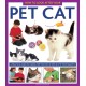 How to Look After Your Pet Cat