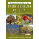 Naturalist's Guide to the Trees & Shrubs of India