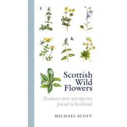 Scottish Wild Flowers