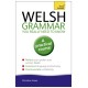 Welsh Grammar You Really Need to Know: Teach Yourself