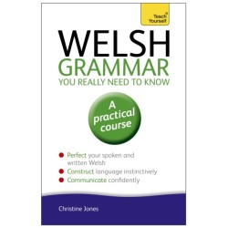 Welsh Grammar You Really Need to Know: Teach Yourself