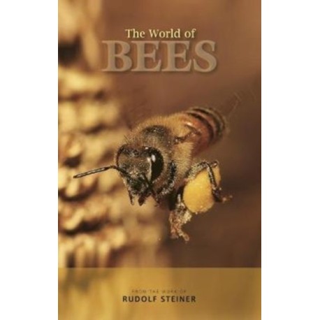 The World of Bees