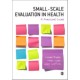 Small-Scale Evaluation in Health: A Practical Guide