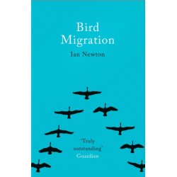 Bird Migration