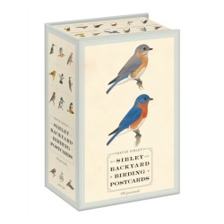 Sibley Backyard Birding Postcards: 100 Postcards