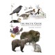 The Arctic Guide: Wildlife of the Far North
