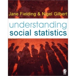 Understanding Social Statistics