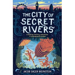 The City of Secret Rivers