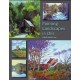 Painting Landscapes in Oils