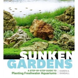 Sunken Gardens: A Step-by-Step Guide to Planting Freshwater Aquariums