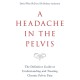 A Headache in the Pelvis: The Definitive Guide to Understanding and Treating Chronic Pelvic Pain