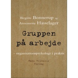 Gruppen på arbejde: - organisationspsykologi i praksis