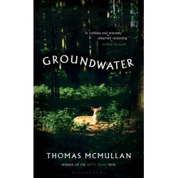 Groundwater: ‘Complex, chilling, masterful' Financial Times