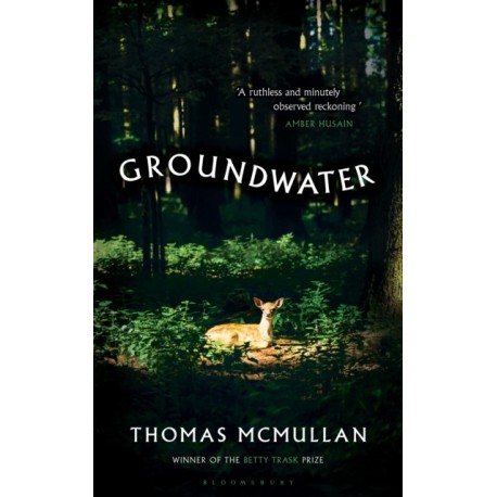 Groundwater: ‘Complex, chilling, masterful' Financial Times