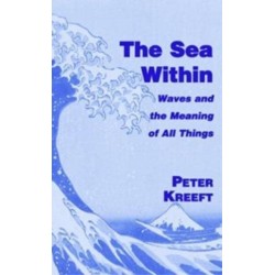 The Sea Within – Waves and the Meaning of All Things