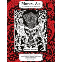 Mutual Aid: An Illuminated Factor of Evolution