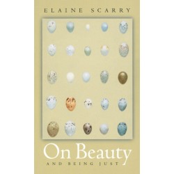 On Beauty and Being Just