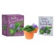 The Felt Succulent Crafting Kit