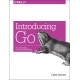 Introducing Go