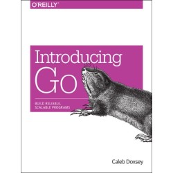 Introducing Go