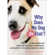 Why Does My Dog Do That?: Understand and Improve Your Dog's Behaviour and Build a Friendship Based on Trust