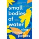 Small Bodies of Water