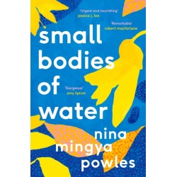 Small Bodies of Water