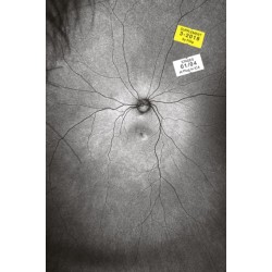 Supplement 3: The Invention and Conclusion of the Eye