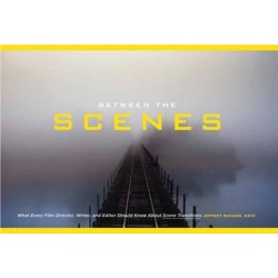 Between the Scenes: What Every Film Director, Writer, and Editor Should Know about Scene Transitions