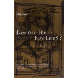 Does Your House Have Lions?