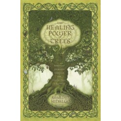 The Healing Power of Trees: Spiritual Journeys Through the Celtic Tree Calendar