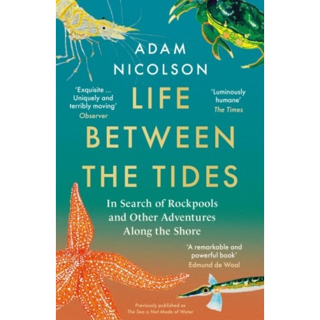 The Life Between the Tides: In Search of Rockpools and Other Adventures Along the Shore