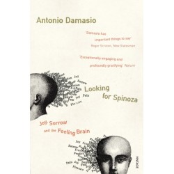 Looking For Spinoza: Joy, Sorrow and the Feeling Brain