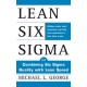 Lean Six Sigma