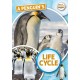 A Penguin's Life Cycle