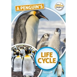 A Penguin's Life Cycle