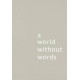 A World Without Words