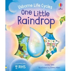 One Little Raindrop