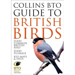 Collins BTO Guide to British Birds