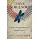 Think Indigenous: Native American Spirituality for a Modern World